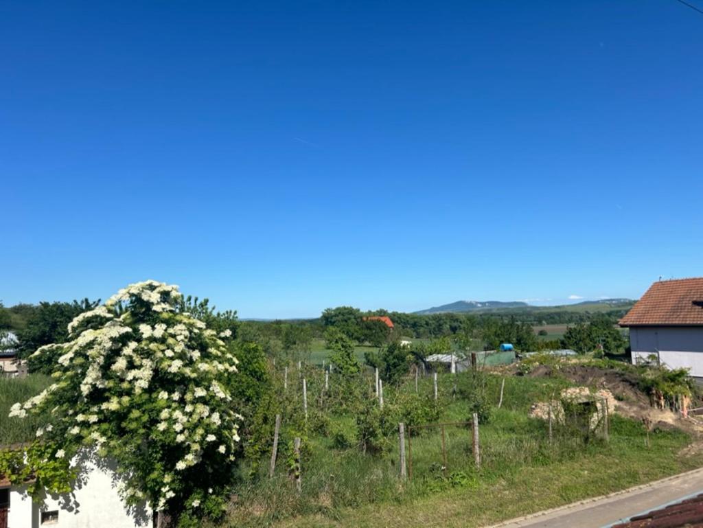 Appartement Apartman Sebina Zarucujici Absolutni Soukromi A Klid S Lahvi Vina Jako Darek à Drnholec Extérieur photo